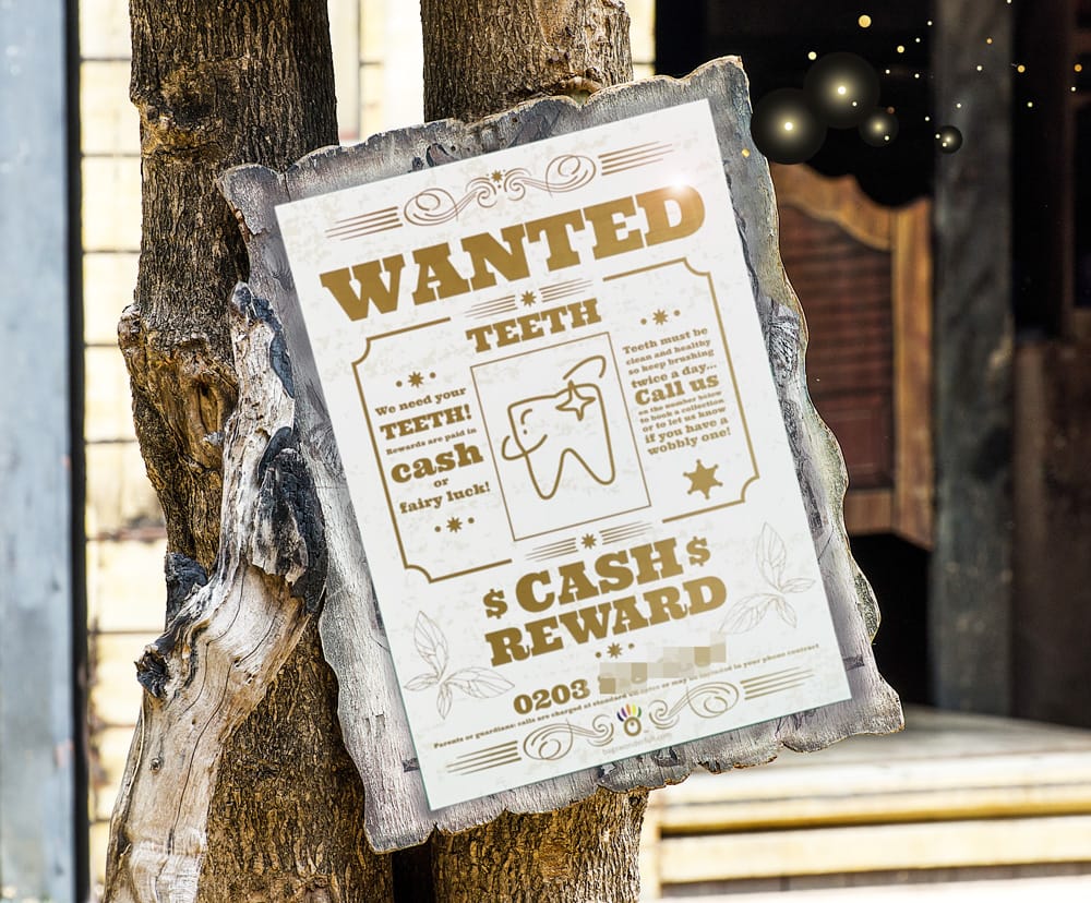 Fairy hotline. Party bag fillers