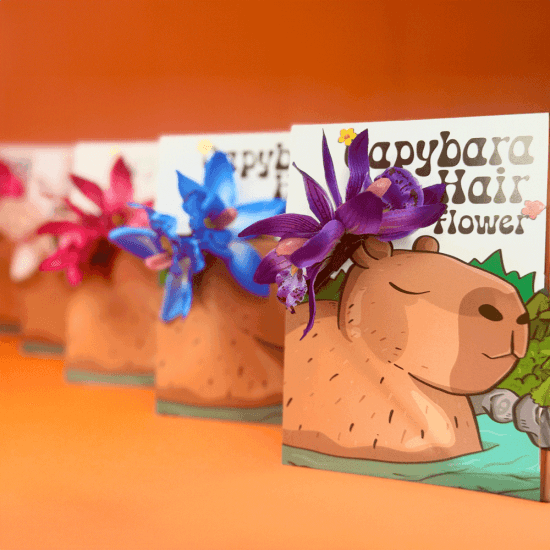 Capybara Hair Flower. Party bag filler.