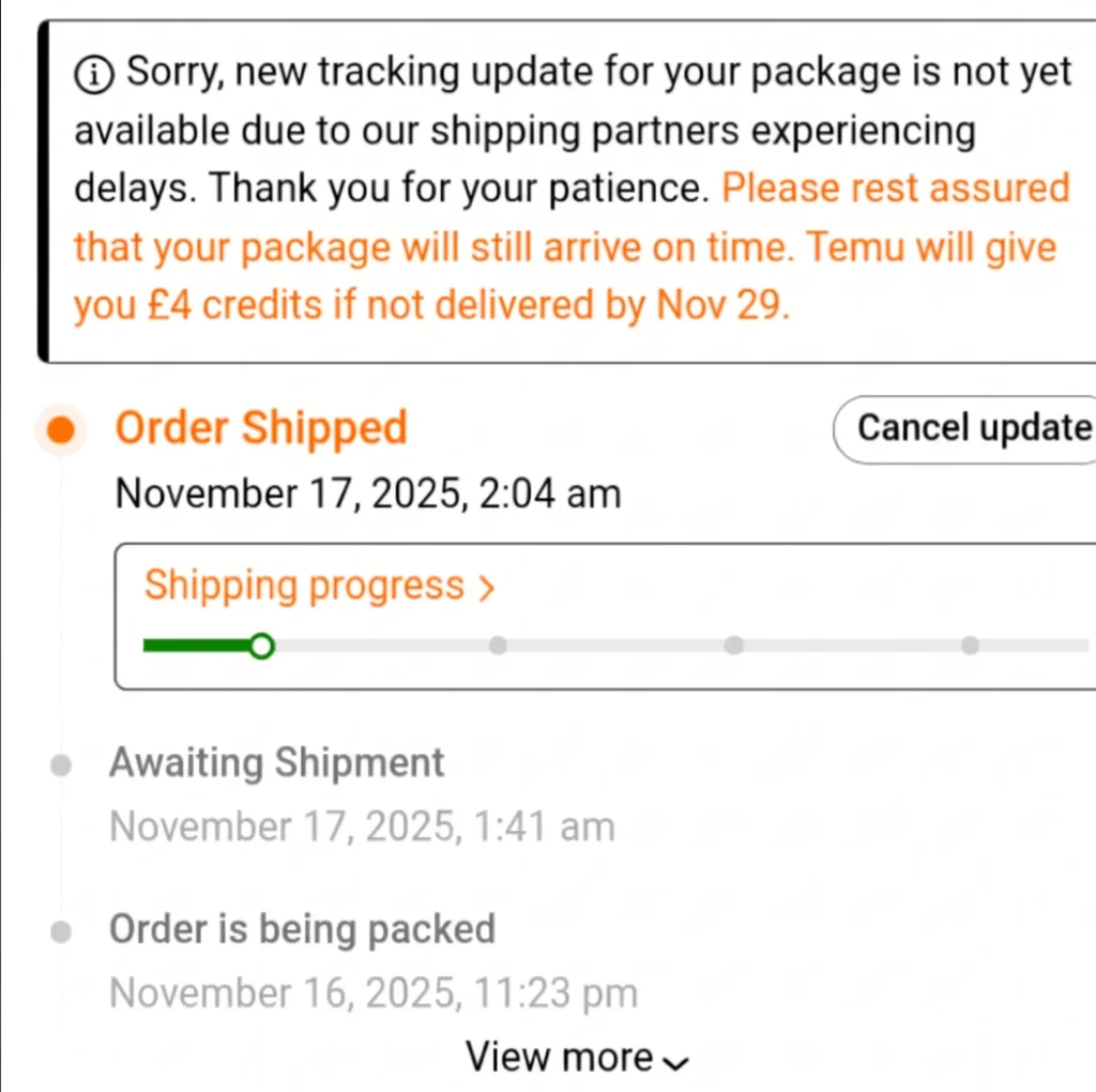 Temu delayed orders - party bags