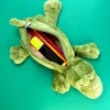 crocodile pencil case